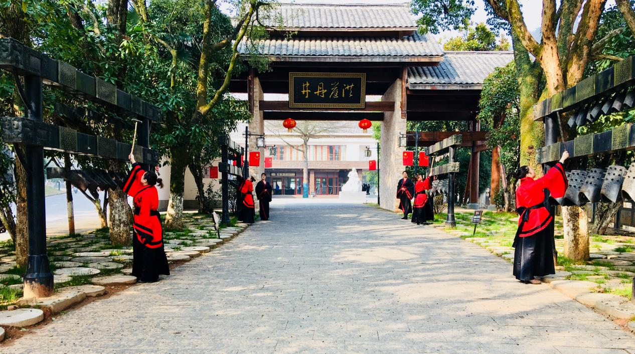 全价票